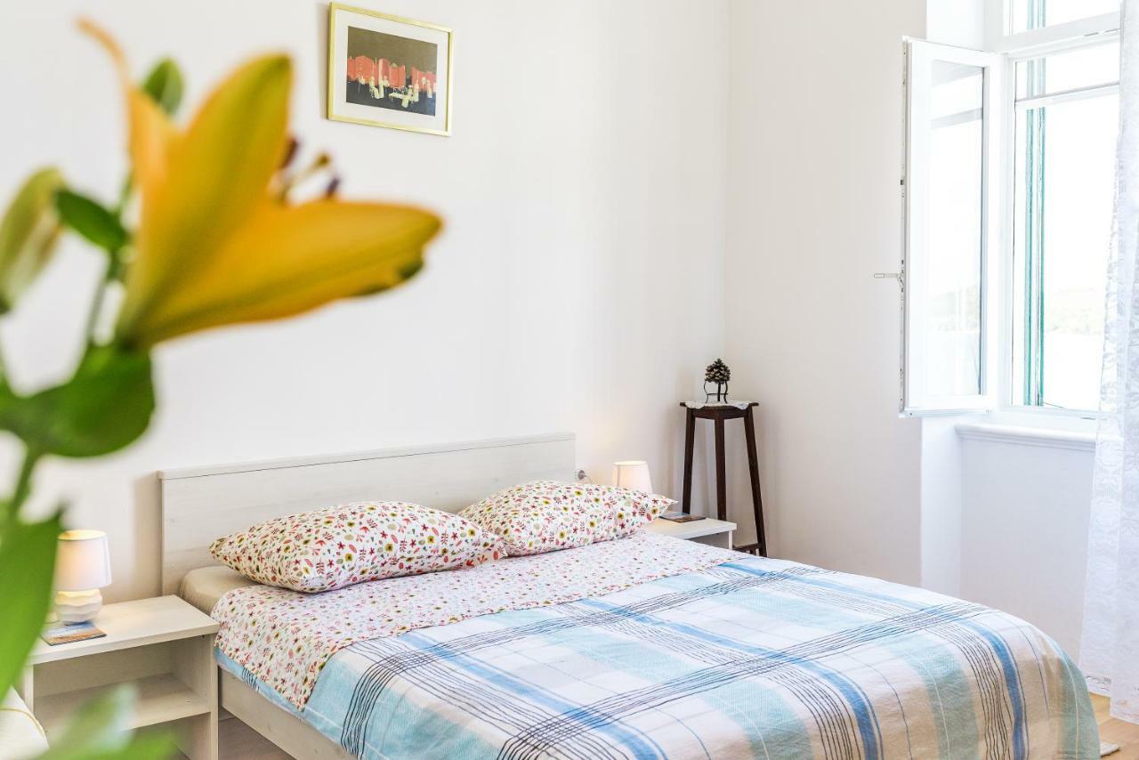 Apartmani Rina 시베니크 외부 사진